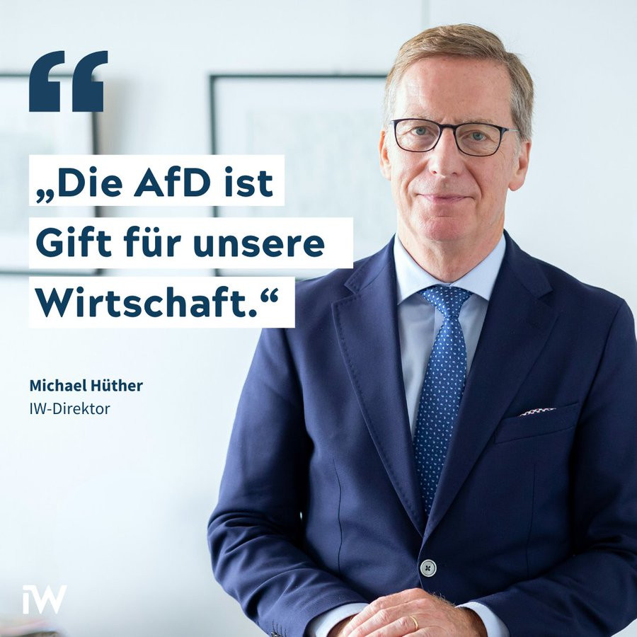 IW-Direktor Michael Hüther zur AfD