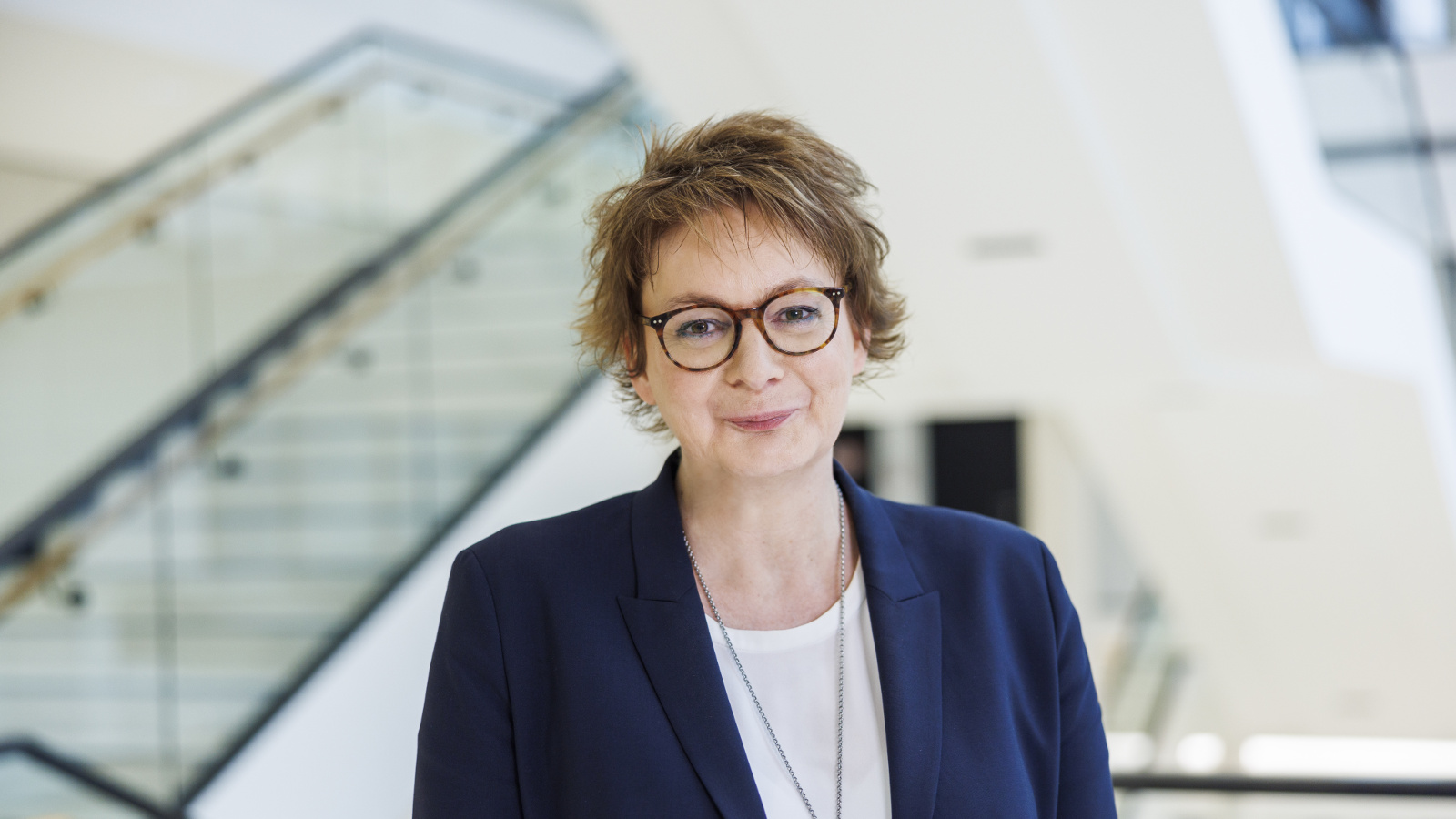 Niedersachsens AfD: Rechtsextremistische Ideologie Konsens in der Partei