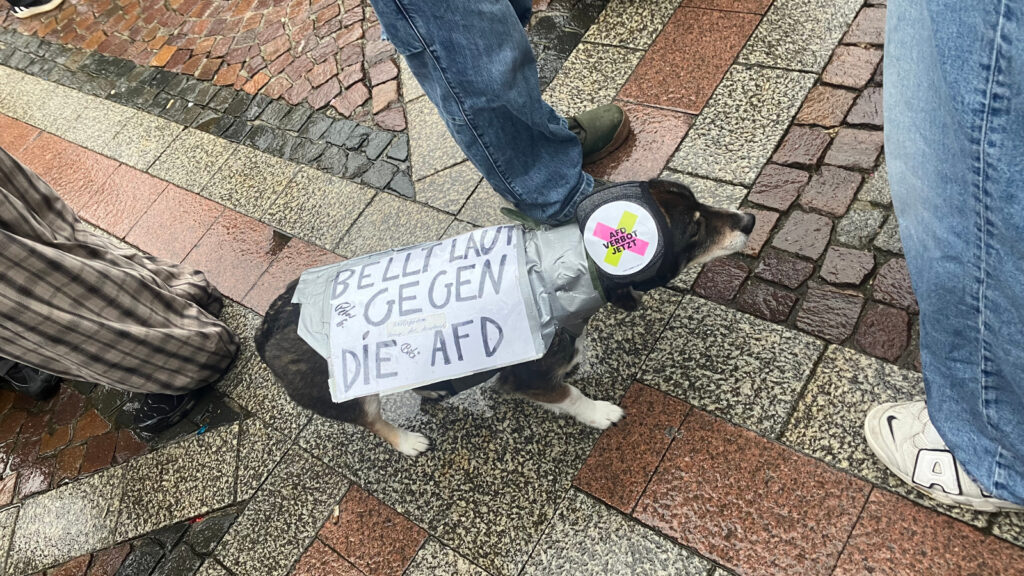 Protest gegen den Fasch8isten Björn Höcke und den AfD-Neujahresempfang im Dortmunder Rathaus
