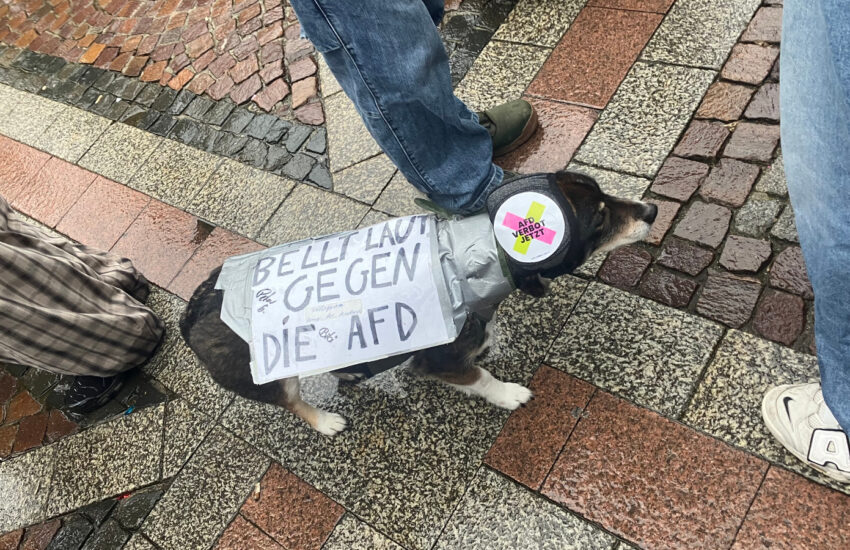 Protest gegen den Faschisten Björn Höcke und den AfD-Neujahresempfang im Dortmunder Rathaus Gutachten