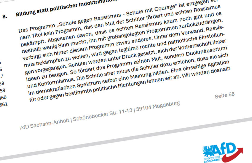 AfD Regierungsprogramm Sachsen-Anhalt Entwurf