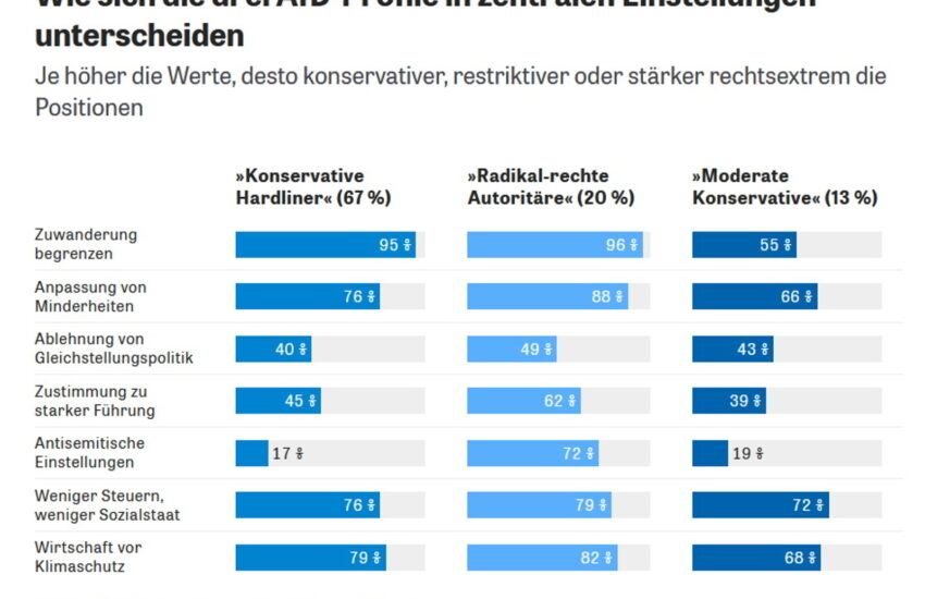 ZEIT-Grafi: AfD-Wählertypen